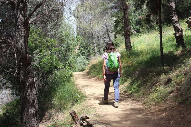 Hiking in Athens: The Dragon House of Mount Hymettus - The Sum Up