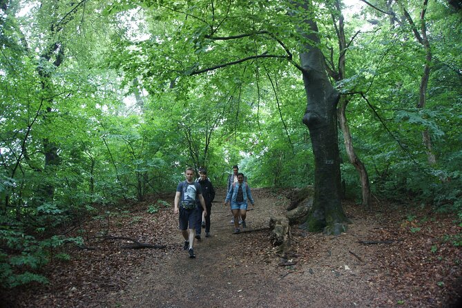 Hiking in Budapest - Inclusions and Amenities