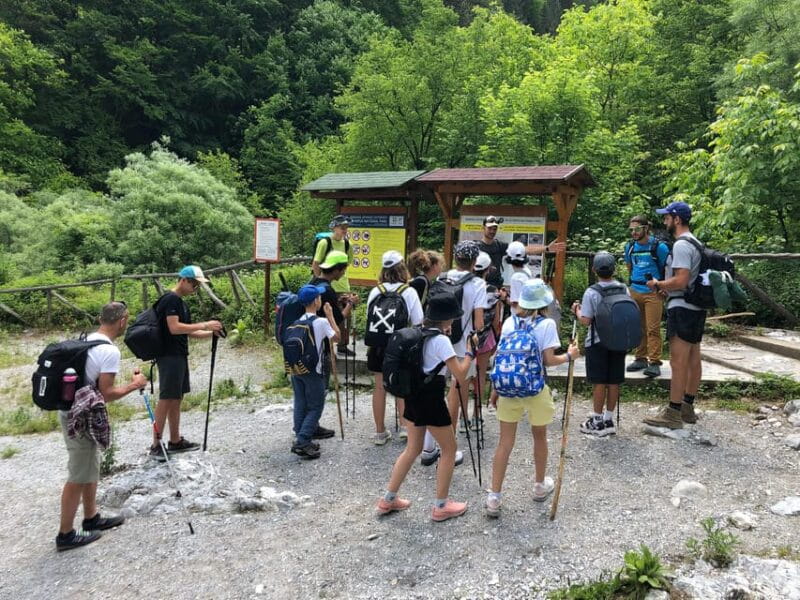 Hiking in Mt Olympus National Park - Who Will Love This Tour?