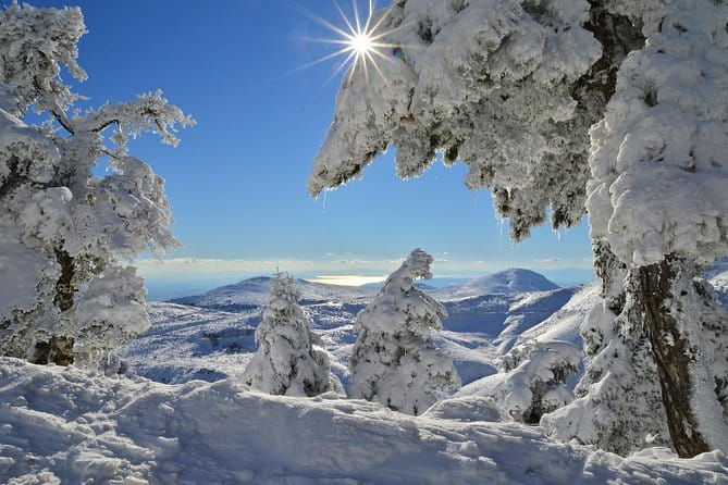 Hiking in Parnitha National Park from Athens - Key Points