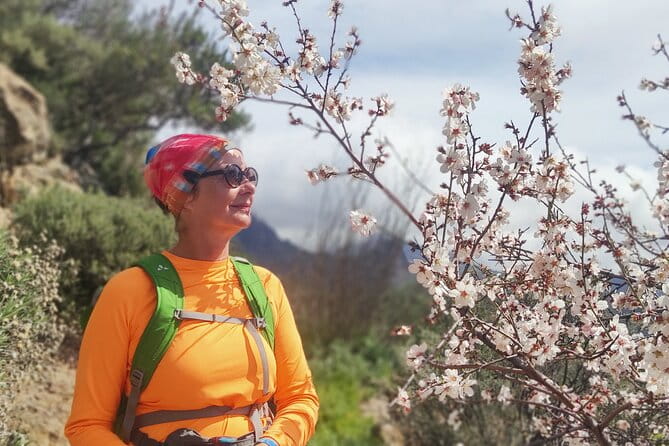 Hiking in the Sacred Mountains of Gran Canaria: UNESCO - Key Points / Takeaways