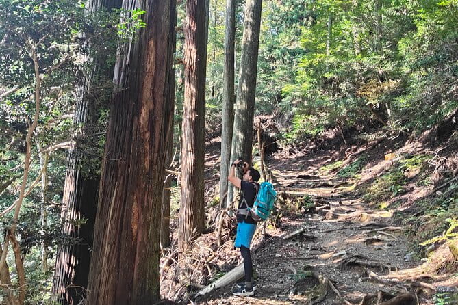 Hiking Kyotos Highest Mountain: Unravel the Mystery of Mt. Atago - The Sum Up