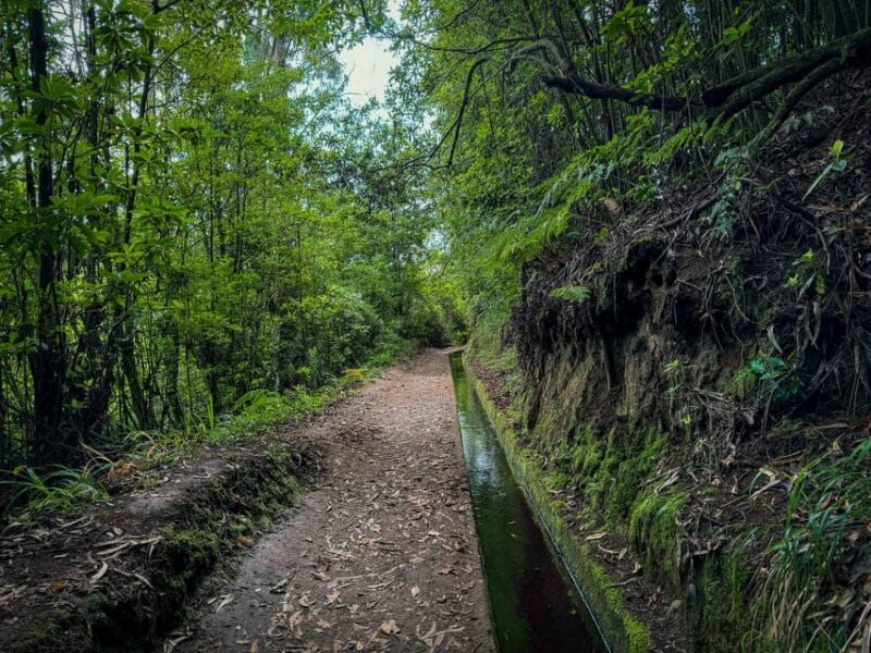Hiking Madeira: Levada do Rei and the Majestic Laurissilva - Key points / Takeaways