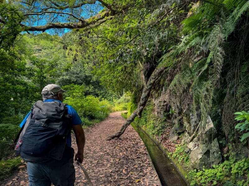 Hiking Madeira: Levada do Rei and the Majestic Laurissilva - Price and Value: What You’re Getting for $52