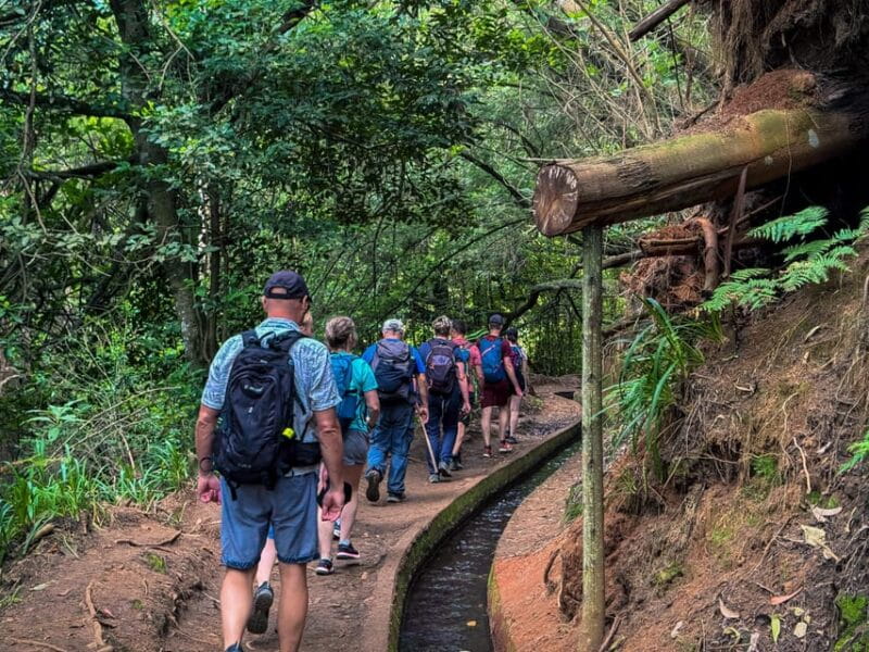 Hiking Madeira: Levada do Rei and the Majestic Laurissilva - Final Thoughts: Who Should Book This Tour?