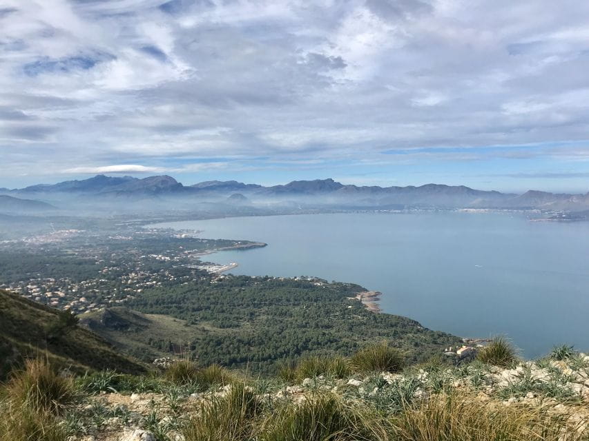 Hiking on Alcúdia Peninsula - Things To Know