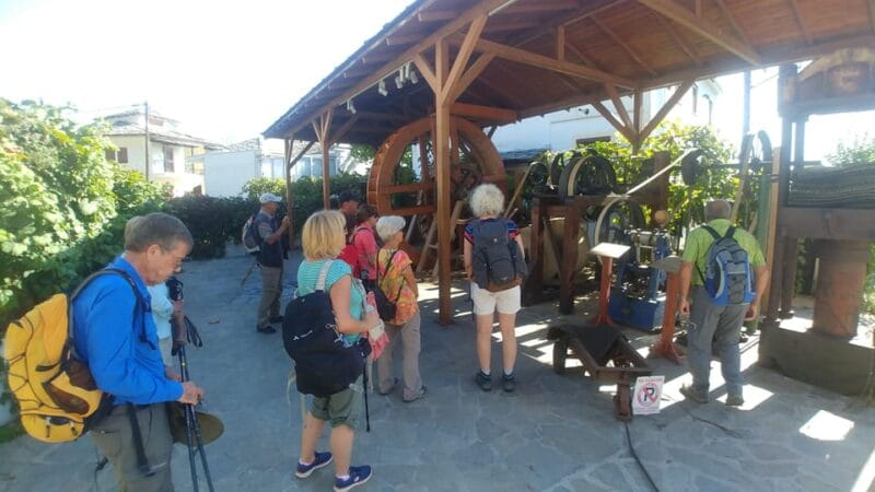 Hiking on Thasos Island - Discovering Thasos: What to Expect from This Guided Hike