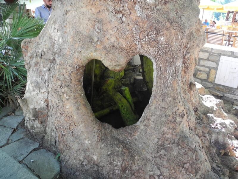 Hiking on Thasos Island - Final Thoughts: Is This Tour Right for You?