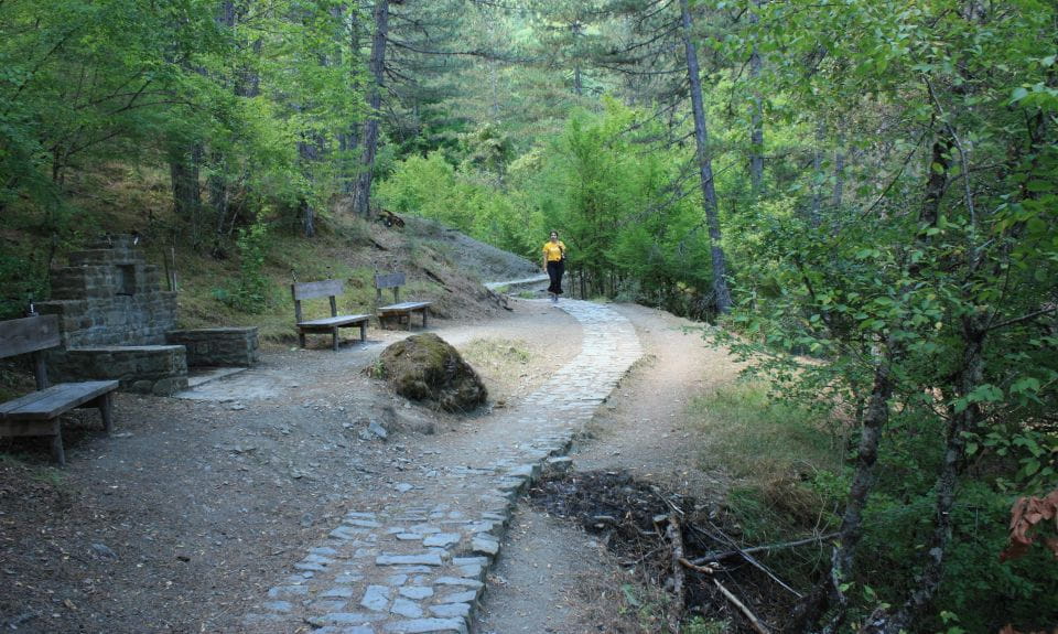 Hiking, Swimming and Sightseeing Tour in Central Zagori Area - Activity Highlights