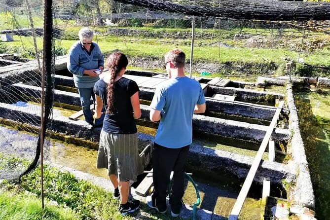 Hiking the Highest Waterfall in EU Hike, Rome - The Sum Up