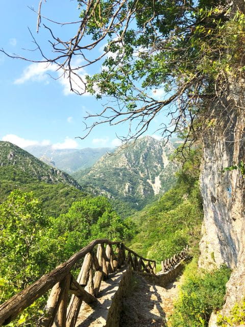 Hiking tour in Souli plateau, Kougi and Skala Tzavelena - FAQ