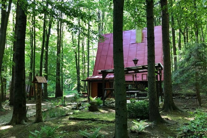 Hiking Tour in the Small Carpathians - In the track of forest people - The First Stop: Veľká Homola Outlook Tower