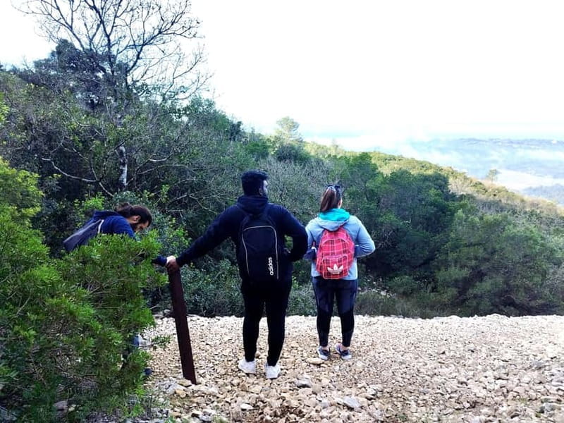 Hiking Tour to the highest point of Arrábida Mountain - Exploring the Arrábida Mountain Hike: A Deep Dive