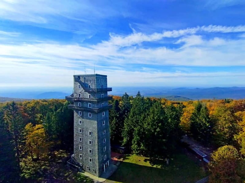 Hiking tour to the Peak of Hungary - The Trail to Kékes: A Beautiful Forest Ascent