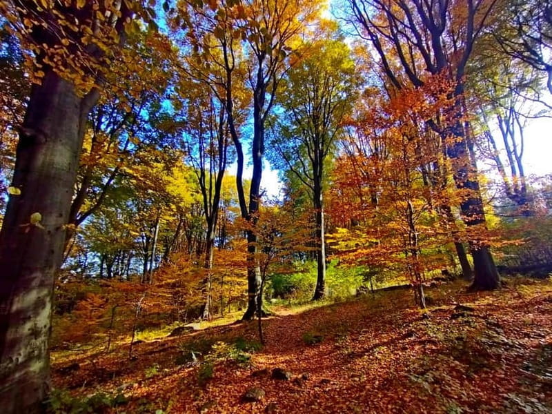 Hiking tour to the Peak of Hungary - Descending and Exploring More Scenic Stops