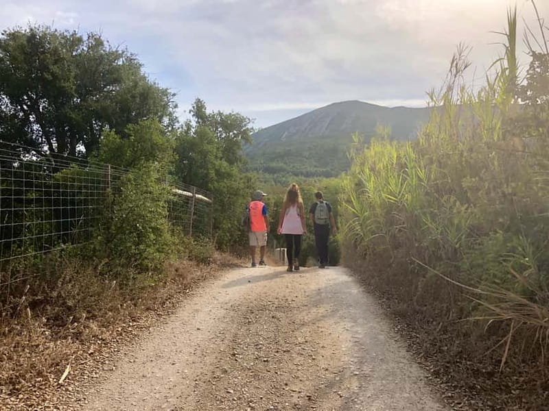 Hiking Tour to Top of Arrabida Mountain - Discovering Arrabida Mountain: An Authentic Hiking Adventure