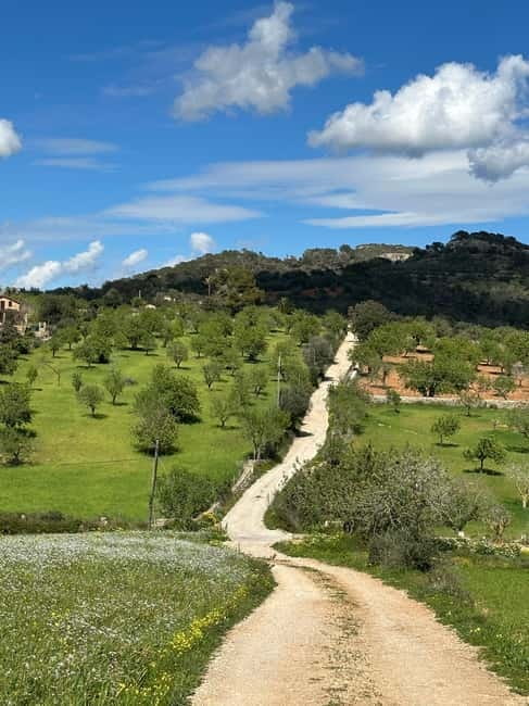 Hiking tour with a dream view of the former monastery of Sant Salvador, 3-4 hours. - Key points / Takeaways