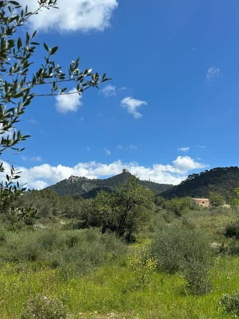 Hiking tour with a dream view of the former monastery of Sant Salvador, 3-4 hours. - FAQ