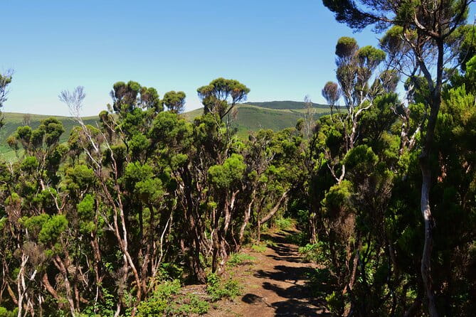 Hiking Trail: Passagem das Bestas - Terceira Island - Key Points / Takeaways