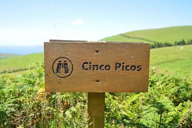 Hiking Trail: Passagem das Bestas - Terceira Island - The Full Experience of Passagem das Bestas