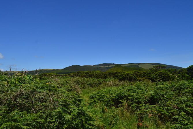 Hiking Trail: Passagem das Bestas - Terceira Island - The Sum Up
