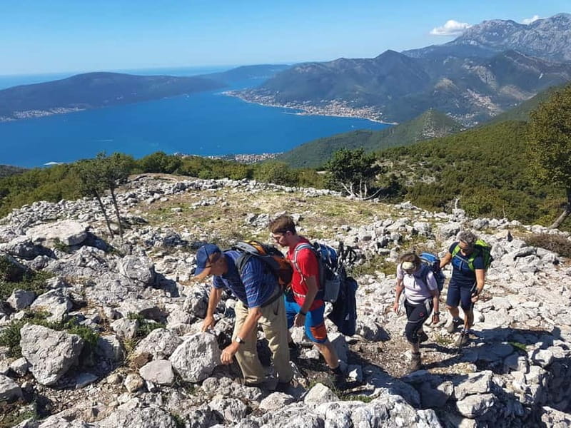 Hiking Vrmac peninsula with panoramic view on Kotor bay - Customizing Your Hike: Easy, Moderate, or Challenging