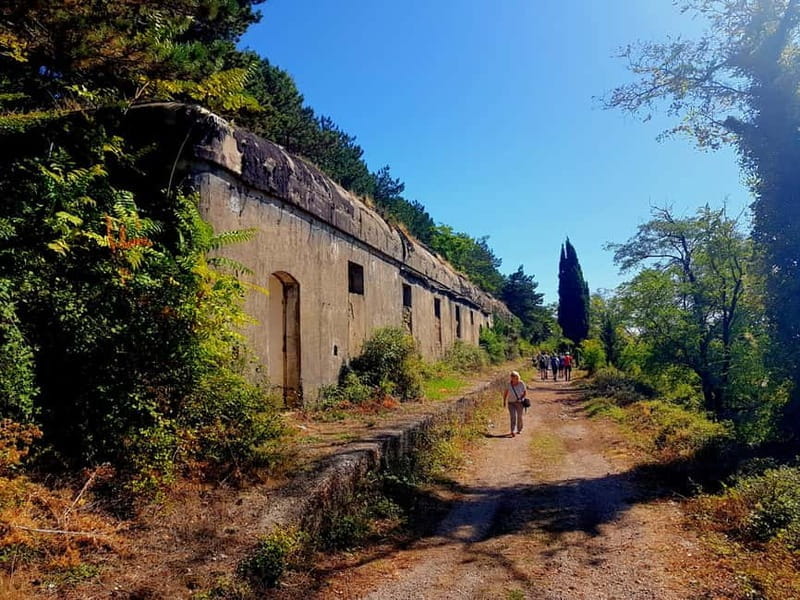Hiking Vrmac peninsula with panoramic view on Kotor bay - Logistics and Practicalities: Making It Work for You