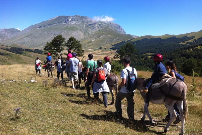Hiking with donkeys - FAQ