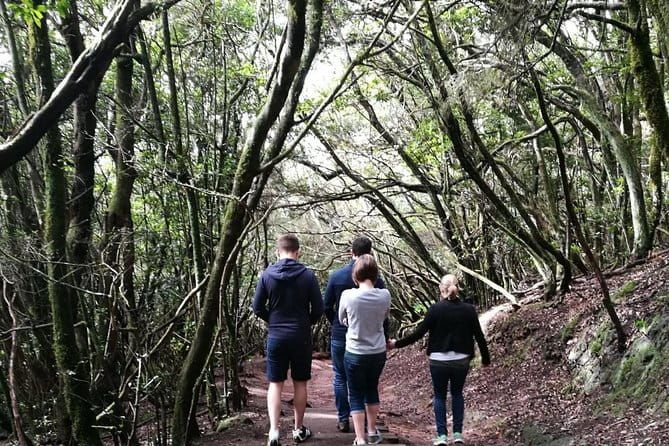 hikking tour in Anaga - Discover Tenerife’s Anaga Mountains: A Guided Hike That Delivers Authentic Beauty and Value