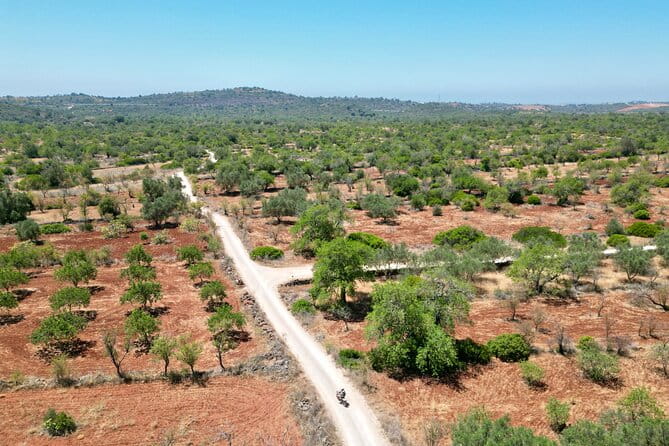 Hills & Thrills: 4 Hr Fonte da Benémola Electric Motorbike Tour - Key Points / Takeaways