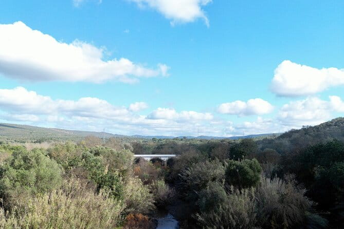 Hills & Thrills: 4 Hr Fonte da Benémola Electric Motorbike Tour - Who’s This Tour Best Suited For?