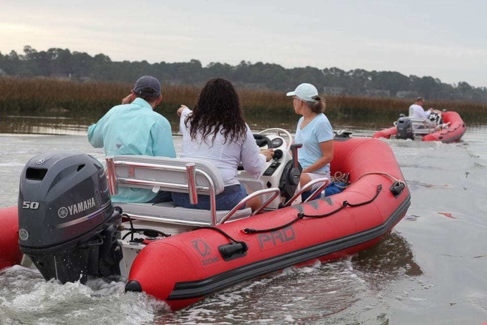 Hilton Head Island: Mini Boat Dolphin Tour - Spotting Local Wildlife