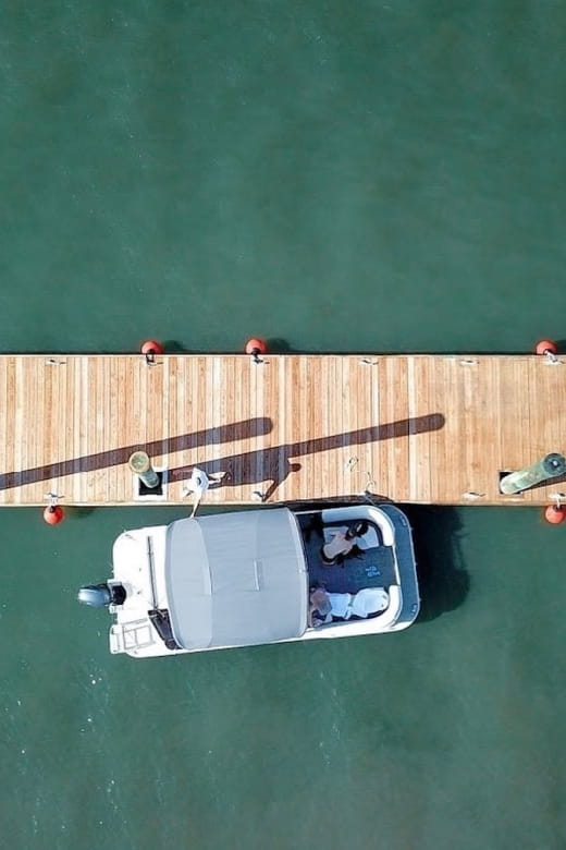 Hilton Head Island: Pontoon Boat Rental - Wildlife Sightings