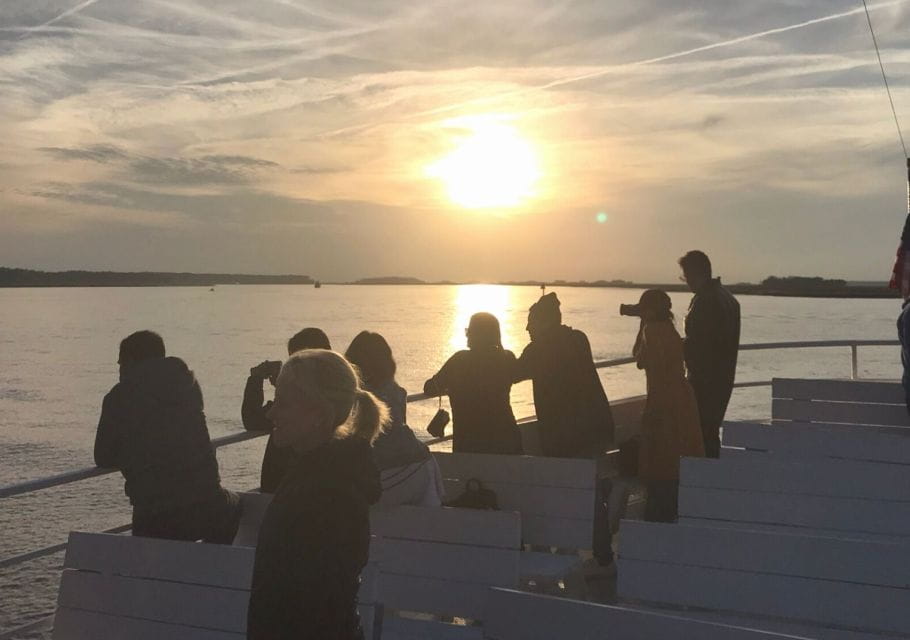 Hilton Head Island: Sunset Dolphin Cruise - Cruise Experience