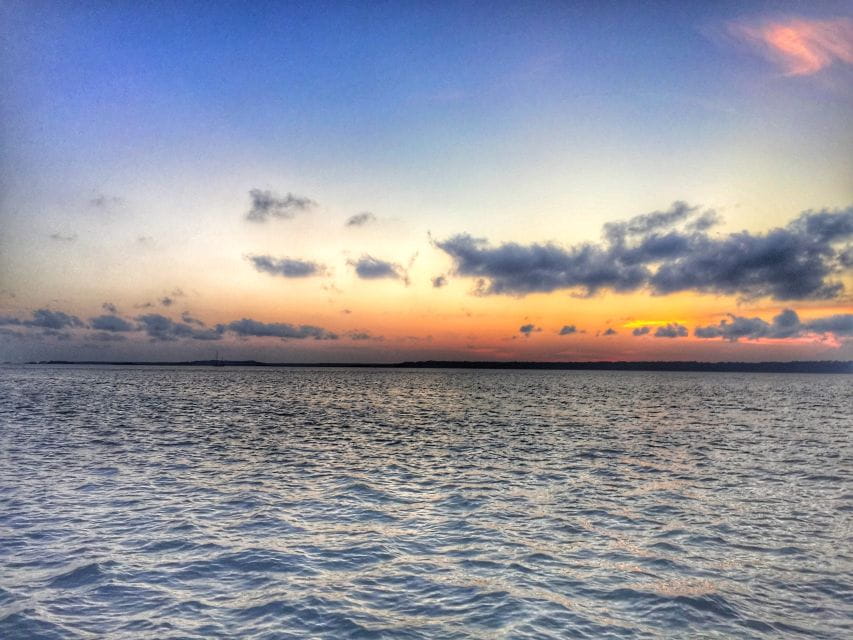 Hilton Head Island: Sunset Dolphin Watching Tour - Key Points