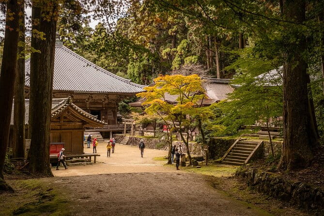 Himeji in Shoshazan Engyo Ji Photography Tour Experience - Lunch and Refreshments