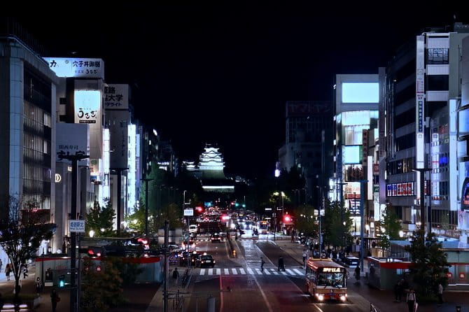 Himeji Private Customizable Half Day - Accessibility and Comfort