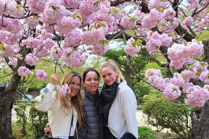 Hirosaki 4hr Private Tour With Government-Licensed Guide - Tips for a Great Experience