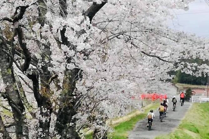 Hiroshima Country Cycling: Explore Rural Life 1 HR From the City - Booking and Cancellation Policies