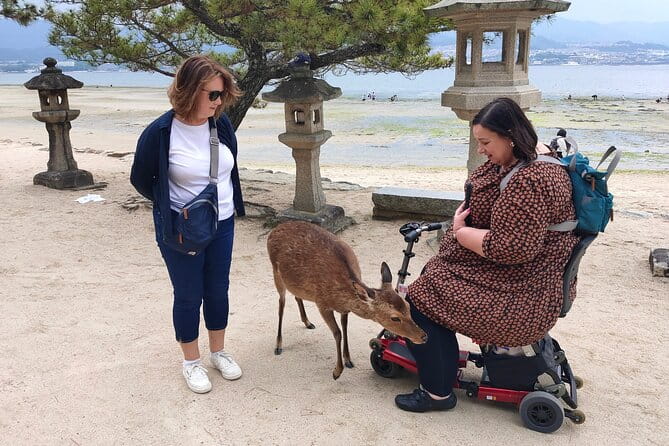 Hiroshima Highlights Private Day Tour - Discovering the Hiroshima Peace Memorial Museum