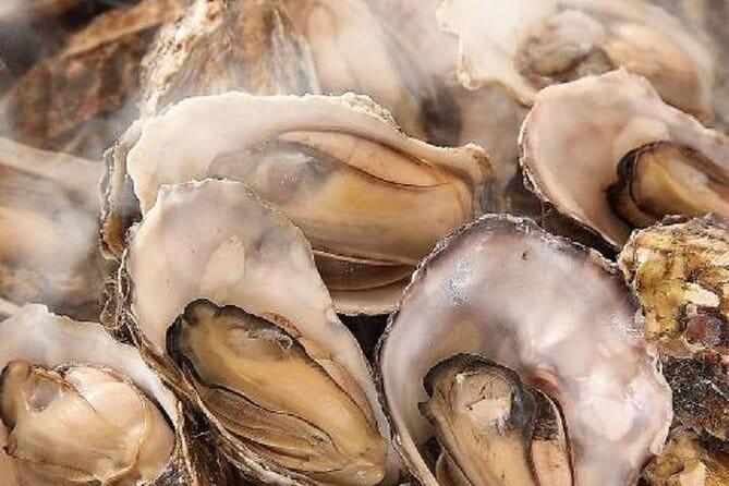 Hiroshima Local Food and Peace Memorial Park 1 Day Walking Tour - Meeting and Pickup Information