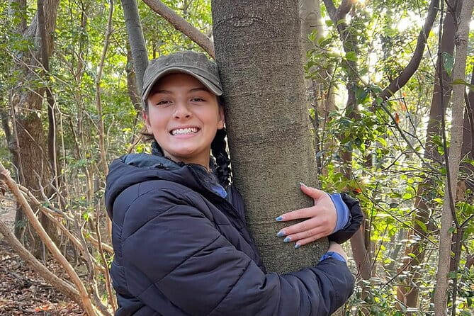 Hiroshima Local Guided Hiking Tour&Open-Air Tea Ceremony - Meeting Point and Transportation