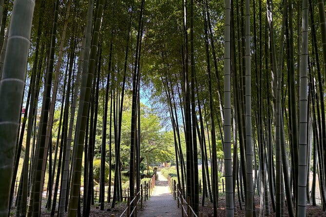 Hiroshima Peace Memorial Park Private Guided Walking Tour - Exploring Hiroshima Peace Memorial Park