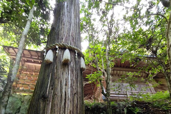 Hiroshima Scenic Cycling Guided Tour - Meeting and End Points
