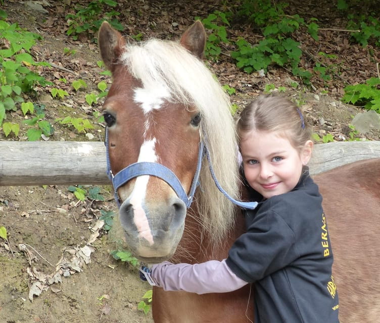Hirschburg: Day at the stables - A Genuine Look at a Day at the Hirschburg Stables