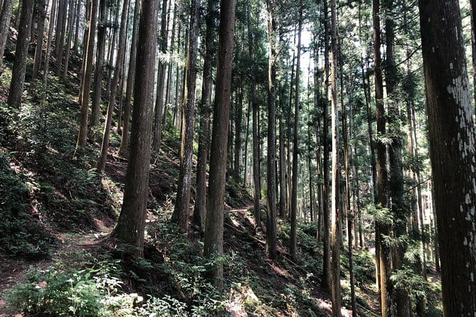 Historic and Natural Guided Hike in Yoshino - Confirmation and Booking Details