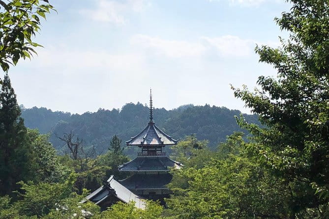 Historic and Natural Guided Hike in Yoshino - Recommended Attire and Transportation