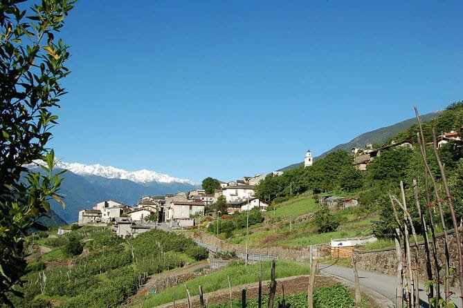 Historic Corners of Tirana - Guided Walking Tour - FAQ