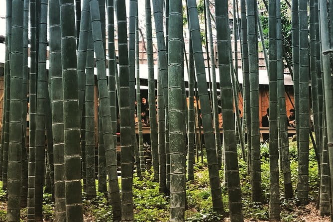 Historic Kamakura: Temples, Shrines and Street Food Private Walking Tour - Visiting Historic Temples and Shrines