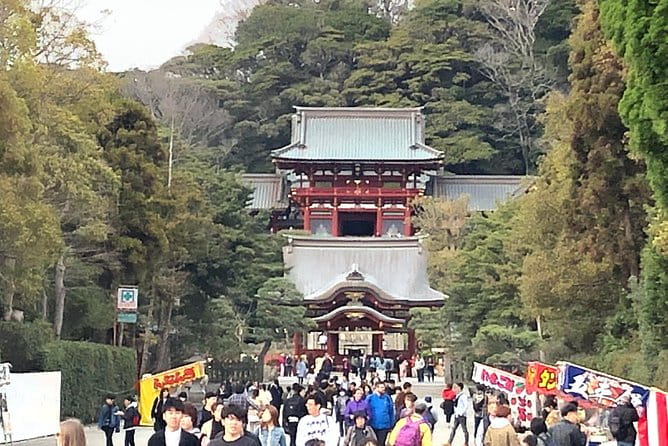 Historic Kamakura: Temples, Shrines and Street Food Private Walking Tour - Health and Accessibility Considerations